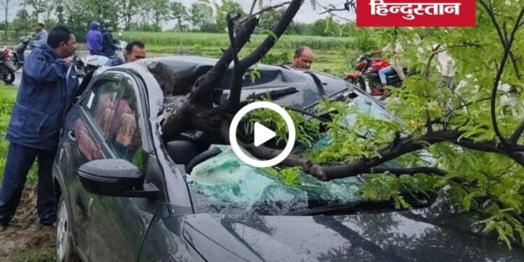 नरसिंहपुर में बारिश के दौरान चलती कार पर गिरा विशाल इमली का पेड़, एक घायल, मध्य प्रदेश वीडियो न्यूज