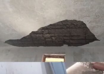 उमरिया के अखड़ार शासकीय विद्यालय में क्लासरूम की छत का प्लास्टर गिरा, छात्र घायल, प्राचार्य पर मामला दबाने के आरोप, मध्य प्रदेश वीडियो न्यूज
