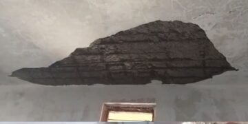 उमरिया के अखड़ार शासकीय विद्यालय में क्लासरूम की छत का प्लास्टर गिरा, छात्र घायल, प्राचार्य पर मामला दबाने के आरोप, मध्य प्रदेश वीडियो न्यूज