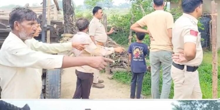 दतिया के चंद्रपुरा गांव में एक रात 3 घरों में चोरी, बाइक और गैस सिलेंडर समेत सामान ले गए चोर, मध्य प्रदेश वीडियो न्यूज
