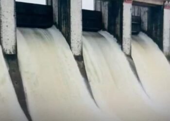 बैतूल में भारी बारिश से तवा नदी उफान पर, सतपुड़ा बांध के 7 गेट और ताप्ती जलाशय से छोड़ा गया पानी, मध्य प्रदेश वीडियो न्यूज