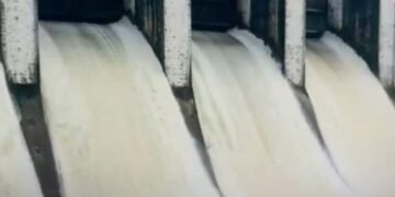 बैतूल में भारी बारिश से तवा नदी उफान पर, सतपुड़ा बांध के 7 गेट और ताप्ती जलाशय से छोड़ा गया पानी, मध्य प्रदेश वीडियो न्यूज