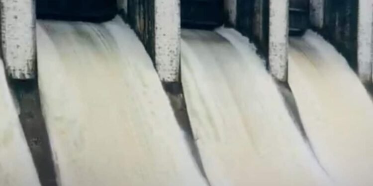बैतूल में भारी बारिश से तवा नदी उफान पर, सतपुड़ा बांध के 7 गेट और ताप्ती जलाशय से छोड़ा गया पानी, मध्य प्रदेश वीडियो न्यूज