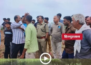 मंदसौर में 10 से ज्यादा गायों की मौत से हड़कंप, दूषित भोजन की आशंका; 8 की हालत गंभीर, मध्य प्रदेश वीडियो न्यूज