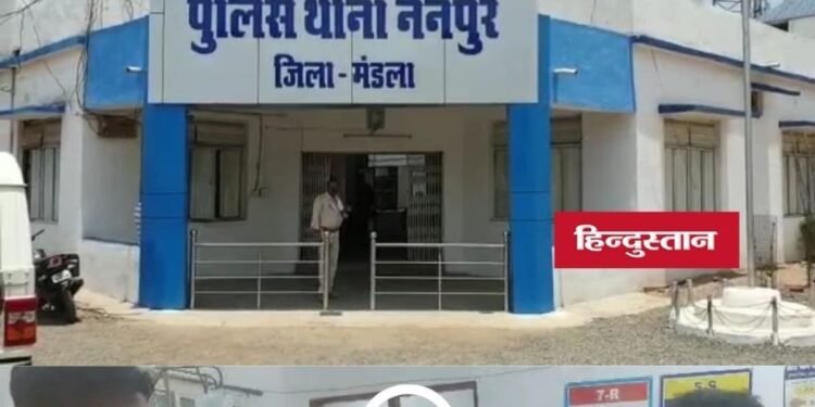Mandla News: जमीन विवाद में बड़े भाई का छोटे भाई पर कुल्हाड़ी से हमला, पत्नी के सामने मौत, मध्य प्रदेश वीडियो न्यूज