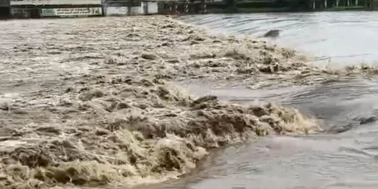 मध्य प्रदेश के डिंडोरी में लगातार बारिश से नर्मदा का जलस्तर बढ़ा, तटीय क्षेत्रों में प्रशासन ने जारी किया अलर्ट, मध्य प्रदेश वीडियो न्यूज