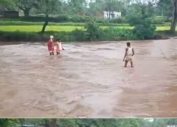 डिंडौरी में उफनती साकुल नदी की डूबी पुलिया पार करते दिखे लोग, भारी बारिश के बीच VIDEO वायरल, मध्य प्रदेश वीडियो न्यूज