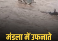 मंडला के मचला गांव में उफनाते नाले में बहे मवेशी, सुरक्षित किनारे पहुंचे, मध्य प्रदेश वीडियो न्यूज