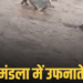 मंडला के मचला गांव में उफनाते नाले में बहे मवेशी, सुरक्षित किनारे पहुंचे, मध्य प्रदेश वीडियो न्यूज