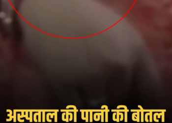 गुना जिला अस्पताल में पेयजल व्यवस्था पर उठे सवाल: टोंटी के पानी में मिला सांप का बच्चा, मध्य प्रदेश वीडियो न्यूज