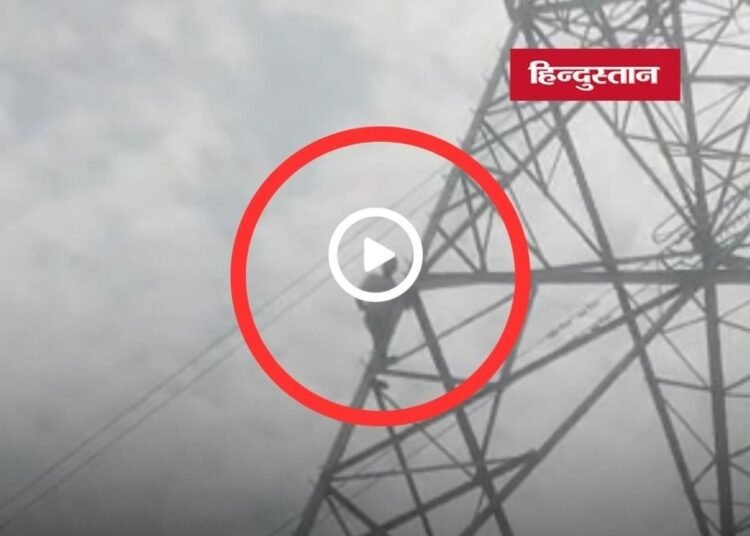 Singrauli News: सिंगरौली में खाद और बीज नहीं मिलने से नाराज युवक हाईटेंशन टावर पर चढ़ा, प्रशासन में हड़कंप, मध्य प्रदेश वीडियो न्यूज