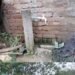 नरसिंहपुर में 700 ग्रामीण पानी को मोहताज, पाइपलाइन और नल लगे फिर भी 6 महीने से सप्लाई बंद, मध्य प्रदेश वीडियो न्यूज