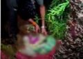 चित्रकूट में झाड़ियों में लावारिस मिला नवजात, चींटियों के बीच तड़पते बच्चे को पुलिस ने बचाया, मध्य प्रदेश वीडियो न्यूज