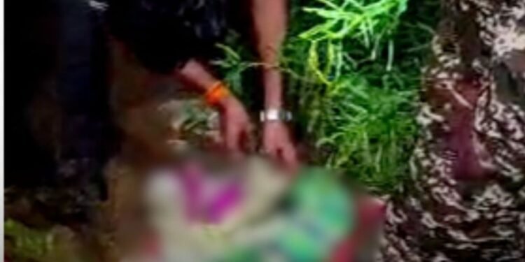 चित्रकूट में झाड़ियों में लावारिस मिला नवजात, चींटियों के बीच तड़पते बच्चे को पुलिस ने बचाया, मध्य प्रदेश वीडियो न्यूज