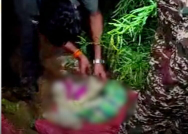 चित्रकूट में झाड़ियों में लावारिस मिला नवजात, चींटियों के बीच तड़पते बच्चे को पुलिस ने बचाया, मध्य प्रदेश वीडियो न्यूज