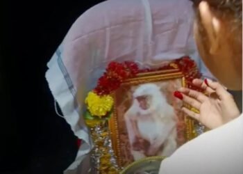 शाजापुर के मंगलाज गांव में करंट से बंदर की मौत के बाद 8 दिन शोक, अंतिम संस्कार और श्रद्धांजलि कार्यक्रम आयोजित, मध्य प्रदेश वीडियो न्यूज