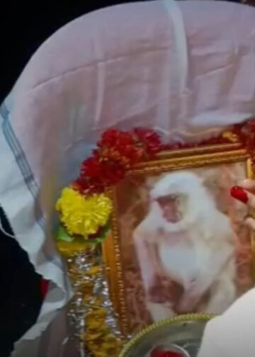 शाजापुर के मंगलाज गांव में करंट से बंदर की मौत के बाद 8 दिन शोक, अंतिम संस्कार और श्रद्धांजलि कार्यक्रम आयोजित, मध्य प्रदेश वीडियो न्यूज