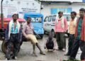 डिंडौरी में सड़क हादसे में महिला की मौत पर सवाल, मायके ने पति पर हत्या की आशंका जताई, मध्य प्रदेश वीडियो न्यूज