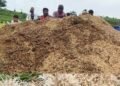 डिंडौरी में बारिश से हजारों क्विंटल सरकारी धान खराब, बोरियों में उगे पौधे, मध्य प्रदेश वीडियो न्यूज