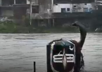 डिंडौरी में भारी बारिश से बाढ़ का खतरा, कलेक्टर ने स्कूलों में एक दिन की छुट्टी घोषित की, मध्य प्रदेश वीडियो न्यूज
