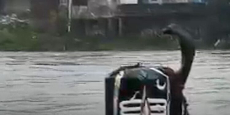 डिंडौरी में भारी बारिश से बाढ़ का खतरा, कलेक्टर ने स्कूलों में एक दिन की छुट्टी घोषित की, मध्य प्रदेश वीडियो न्यूज