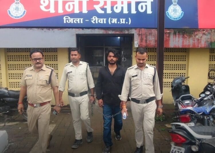 रीवा में 16.632 किलो गांजा, पिस्टल-कारतूस और मोबाइल बरामद, आरोपी गिरफ्तार, मध्य प्रदेश वीडियो न्यूज