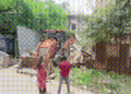 सिंहस्थ 2028 से पहले उज्जैन में JCB ऐक्शन, हरसिद्धि मंदिर के पास अवैध निर्माण पर चला बुलडोजर, Madhya-pradesh Hindi News