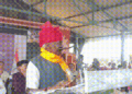 ‘माता सीता मौत का…’; मंच पर बिगड़े बोल, आपस में भिड़ गए भाजपा विधायक- VIDEO, Madhya-pradesh Hindi News