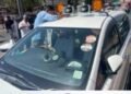 मैहर में VIP हूटर, काली फिल्म और अवैध नेम प्लेट पर प्रशासन का एक्शन, 25 वाहनों के चालान, ₹24 हजार जुर्माना, मध्य प्रदेश वीडियो न्यूज