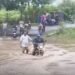 डिंडौरी में उफनी कुतरेल नदी का कहर, जलमग्न पुलिया से जान जोखिम में डालकर गुजर रहे लोग, मध्य प्रदेश वीडियो न्यूज