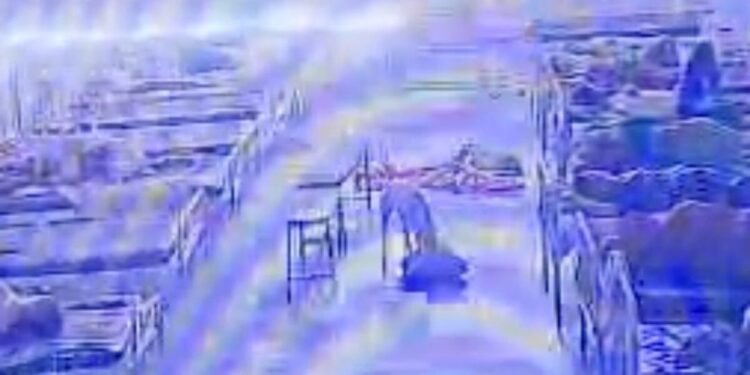 मंदसौर जिला अस्पताल से 4 लाख के जेवरों का बैग कुत्ता ले भागा, CCTV से पुलिस ने बरामद किया, मध्य प्रदेश वीडियो न्यूज