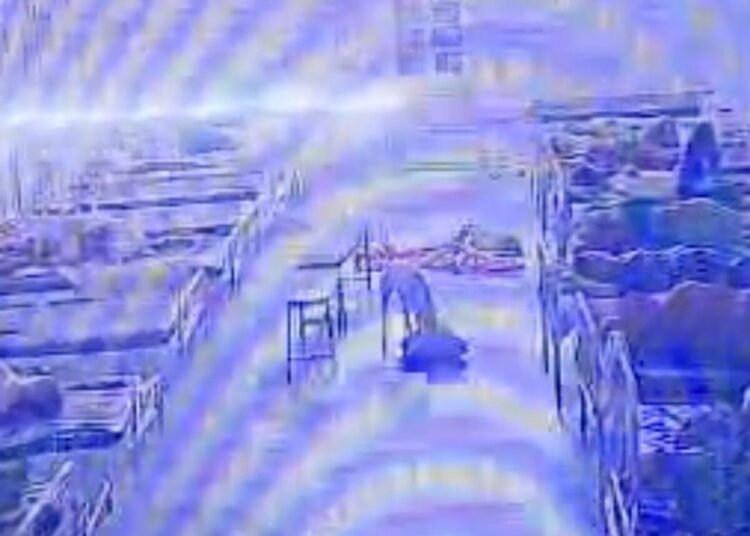 मंदसौर जिला अस्पताल से 4 लाख के जेवरों का बैग कुत्ता ले भागा, CCTV से पुलिस ने बरामद किया, मध्य प्रदेश वीडियो न्यूज