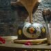 उज्जैन के 84 महादेव मंदिर में निकला कोबरा, पंडित ने इंस्टाग्राम से बुलाया सर्पमित्र, 200 सांपों का रेस्क्यू, मध्य प्रदेश वीडियो न्यूज
