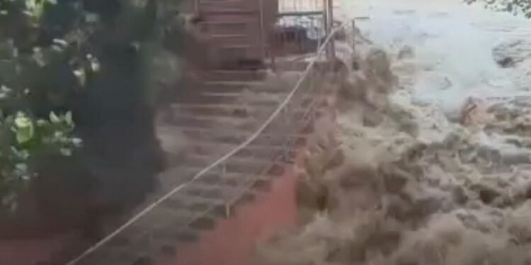 मैहर के धारकुंडी में मूसलाधार बारिश, नदी-नाले और जलप्रपात उफान पर; रास्ते जलमग्न, मध्य प्रदेश वीडियो न्यूज