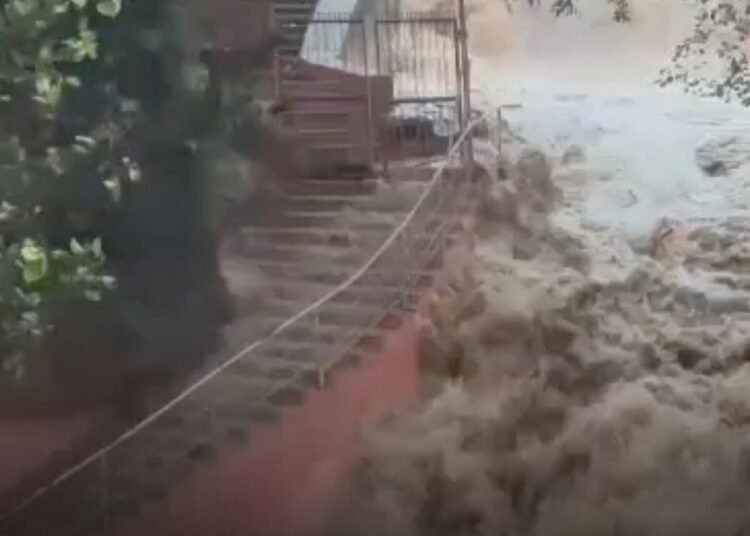 मैहर के धारकुंडी में मूसलाधार बारिश, नदी-नाले और जलप्रपात उफान पर; रास्ते जलमग्न, मध्य प्रदेश वीडियो न्यूज