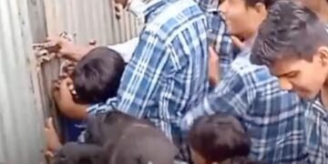 शाजापुर में जाम से स्कूल बसें फंसी, परीक्षा छूटने की नौबत पर छात्रों ने मंडी गेट पर किया प्रदर्शन, मध्य प्रदेश वीडियो न्यूज