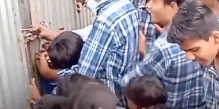 शाजापुर में जाम से स्कूल बसें फंसी, परीक्षा छूटने की नौबत पर छात्रों ने मंडी गेट पर किया प्रदर्शन, मध्य प्रदेश वीडियो न्यूज