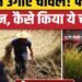 China Space Farming: अंतरिक्ष में धान की खेती के बाद फसल धरती पर लाया चीन | Rice Harvesting, अंतरराष्ट्रीय वीडियो न्यूज
