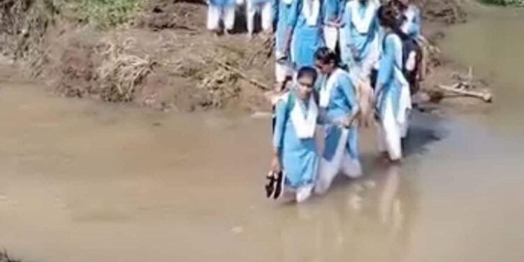 सागर के रहली में जर्जर पुलिया से जान जोखिम में डालकर स्कूल जा रहे बच्चे, वायरल वीडियो के बाद प्रशासन हरकत में, मध्य प्रदेश वीडियो न्यूज