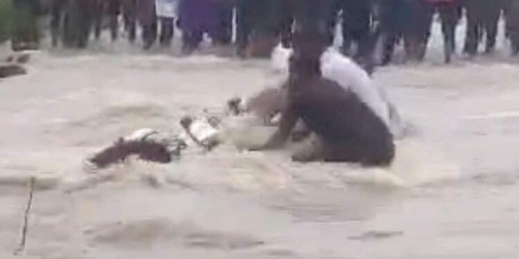 शिवपुरी में उफनती पुलिया पार करते बाइक समेत नदी में बहा युवक, तैरकर बचाई जान, मध्य प्रदेश वीडियो न्यूज