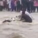 शिवपुरी में उफनती पुलिया पार करते बाइक समेत नदी में बहा युवक, तैरकर बचाई जान, मध्य प्रदेश वीडियो न्यूज