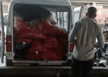 गजब! सब्जी मंडी में एंबुलेंस से प्याज की सप्लाई, VIDEO सोशल मीडिया पर वायरल, Madhya-pradesh Hindi News