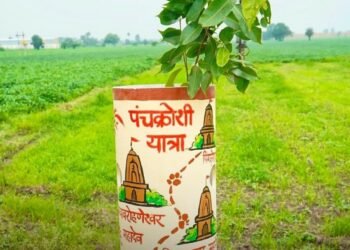 उज्जैन के पंचकोशी मार्ग पर 50 हजार पौधे, 12 उपवन से बनेगा आकर्षक ग्रीन कॉरिडोर, मध्य प्रदेश वीडियो न्यूज
