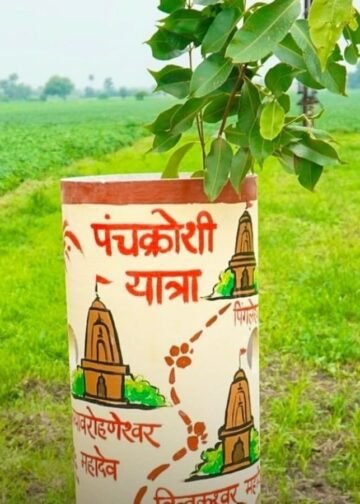 उज्जैन के पंचकोशी मार्ग पर 50 हजार पौधे, 12 उपवन से बनेगा आकर्षक ग्रीन कॉरिडोर, मध्य प्रदेश वीडियो न्यूज