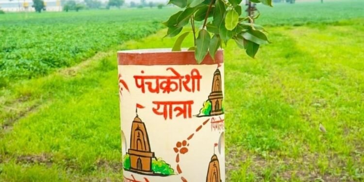 उज्जैन के पंचकोशी मार्ग पर 50 हजार पौधे, 12 उपवन से बनेगा आकर्षक ग्रीन कॉरिडोर, मध्य प्रदेश वीडियो न्यूज