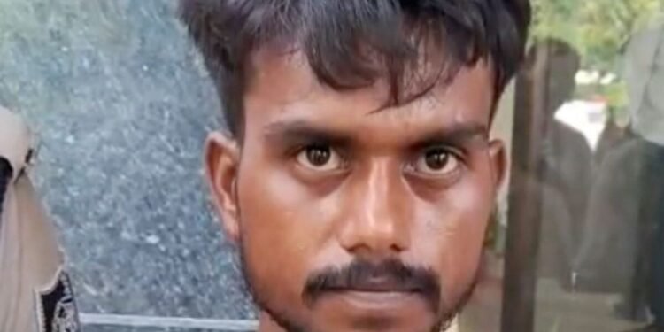 मध्य प्रदेश के कोटर में 14 वर्षीय नाबालिग से दुष्कर्म और हत्या मामले में आरोपी गिरफ्तार, पुलिस जांच तेज, मध्य प्रदेश वीडियो न्यूज