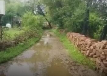 शिवपुरी में स्कूल का रास्ता बदहाल, 2-3 फीट पानी से होकर गुजर रहे मासूम बच्चे, मध्य प्रदेश वीडियो न्यूज
