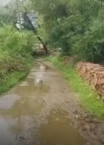 शिवपुरी में स्कूल का रास्ता बदहाल, 2-3 फीट पानी से होकर गुजर रहे मासूम बच्चे, मध्य प्रदेश वीडियो न्यूज
