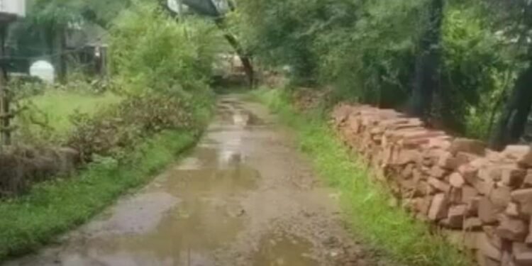 शिवपुरी में स्कूल का रास्ता बदहाल, 2-3 फीट पानी से होकर गुजर रहे मासूम बच्चे, मध्य प्रदेश वीडियो न्यूज