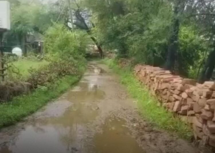शिवपुरी में स्कूल का रास्ता बदहाल, 2-3 फीट पानी से होकर गुजर रहे मासूम बच्चे, मध्य प्रदेश वीडियो न्यूज